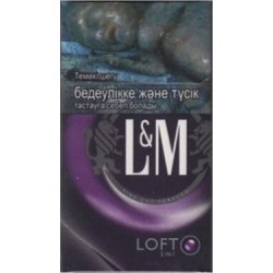 L&M Loft 2 in 1