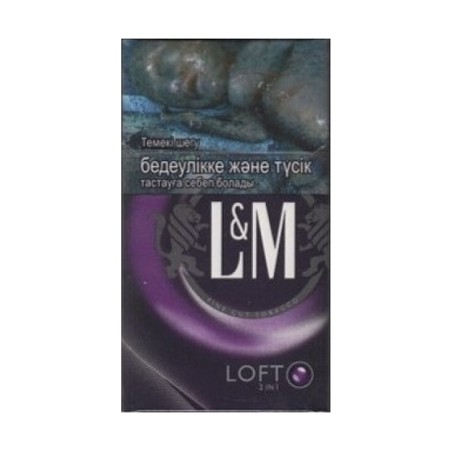 L&M Loft 2 in 1